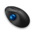 Mouse - Mouse Trackball Pro Fit Ergo E - Kensington
