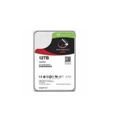 Disco Duro Ironwold 12TB 3.5" ST12000VN0008 - Seagate
